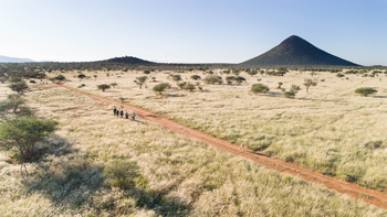 Old Traders Lodge: Auf des Spuren eines Geparden