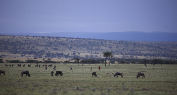 Richard's River Camp: Walking Safari