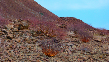 Twyfelfontein Country Lodge: Landschaft