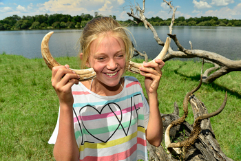 Victoria Falls River Lodge Victoria Falls River Lodge: Warzenschweinhauer