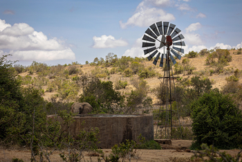 Borana Lodge Borana Lodge: Elefant an Wasserbecken
