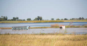 Beagle Expeditions: Lunch im seichten Wasser