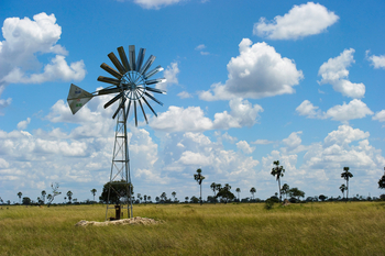 Little Makalolo Camp Little Makalolo Camp: Windrad zum Wasserpumpen