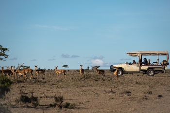 Mahali Mzuri: Game Drive