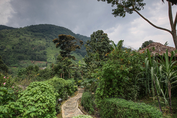 Mahogany Springs Safari Lodge: Weg durchs Gelände