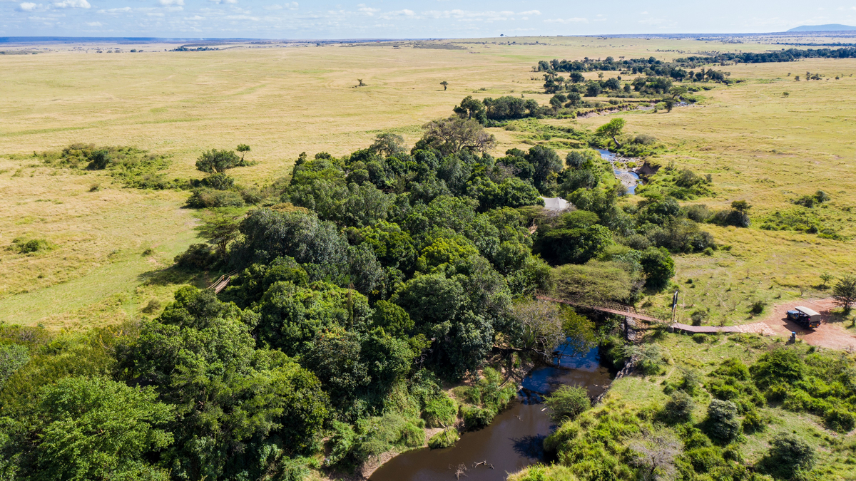 Mara Plains Camp