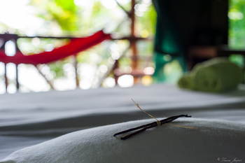 Masoala Forest Lodge: Kissen