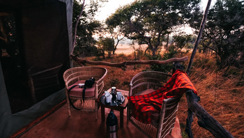 Mukambi Fig Tree Bush Camp: Zwei Sessel im Gästezelt
