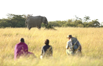 Naboisho Camp: Walking Safari