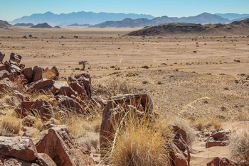 Namib Outpost: Endlose Landschaft