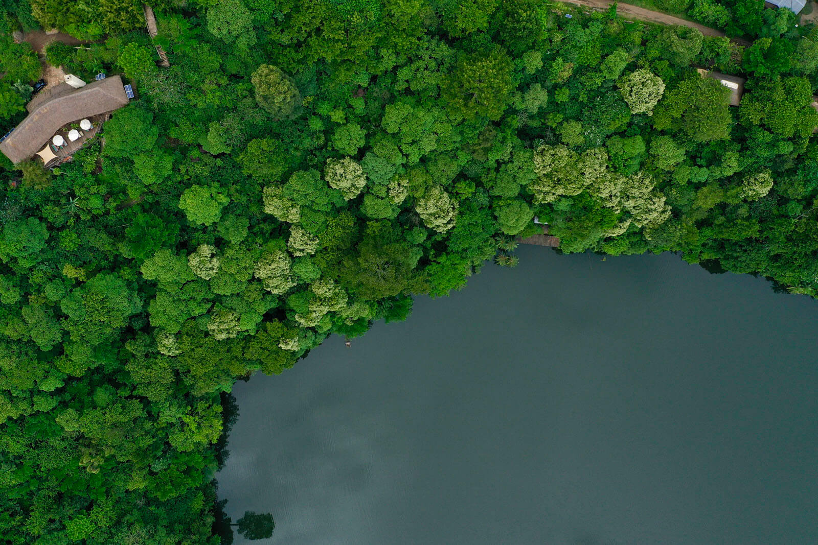 Papaya Lake Lodge Papaya Lake Lodge: Luftbild