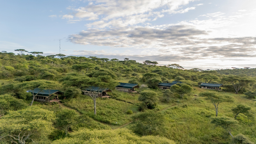 Serengeti Woodlands Camp Serengeti Woodlands Camp