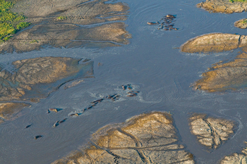 Shumba Camp Shumba Camp: Lufupasümpfe