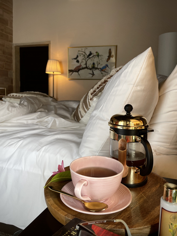 The Postcard Gir Wildlife Sanctuary: Tee am Bett