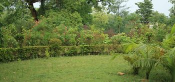 The Wildflower Resort The Wildflower Resort: Üppiges Grün