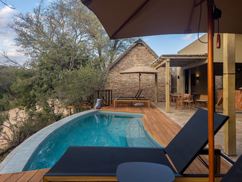 Thornybush Game Lodge: Wellness - Infinity Pool