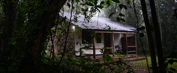Budongo Eco Lodge: Cabin