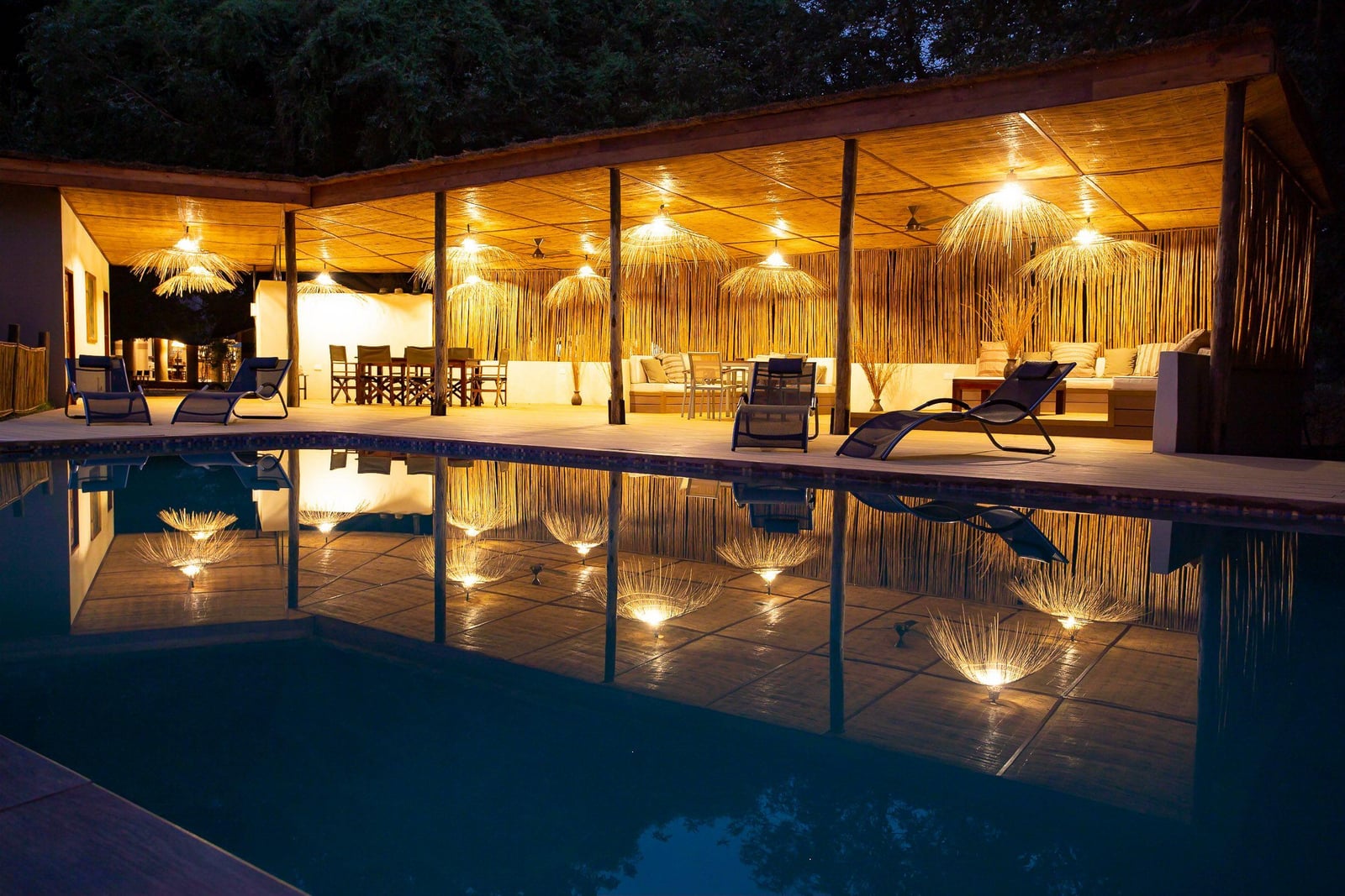 Flatdogs Camp Flatdogs Camp: Swimming Pool und Lounge