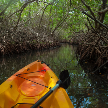 Fundu Lagoon: Kanufahrt durch die Mangroven