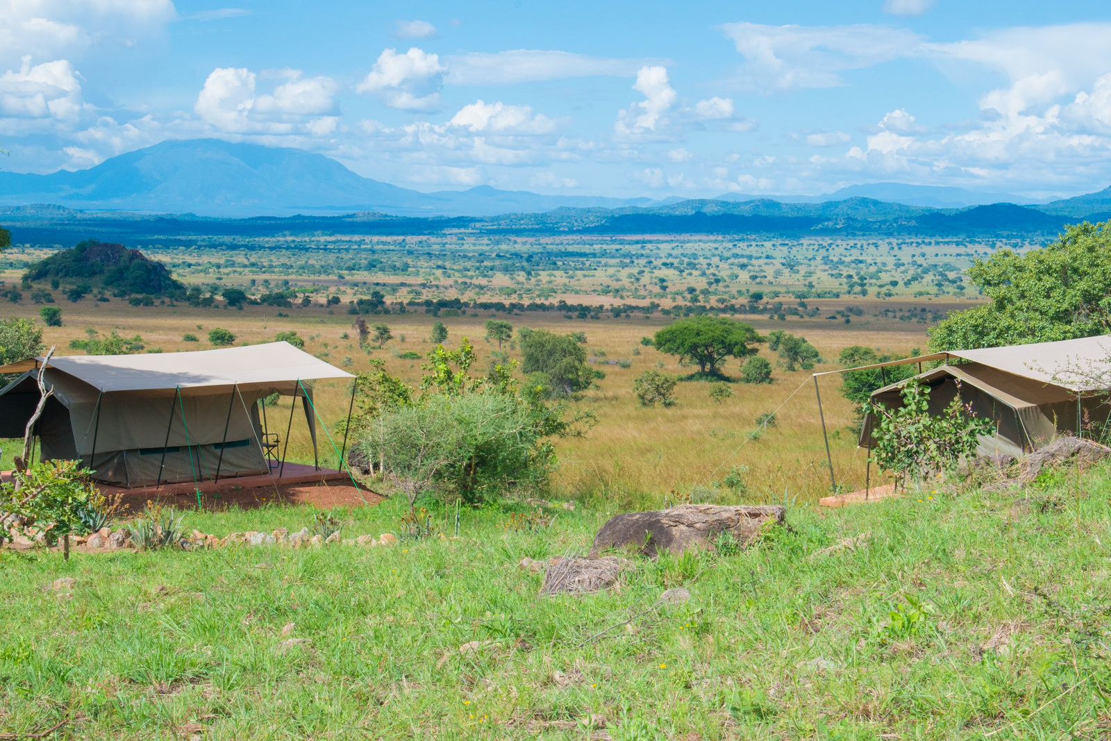 Kidepo Savannah Lodge Kidepo Savannah Lodge: Zelt mit Blick