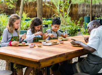 Little Chem Chem: Entertainment