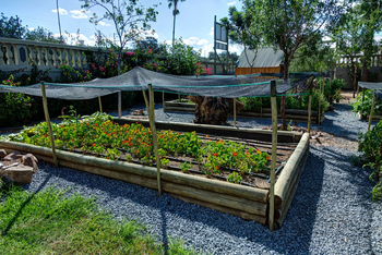 Naankuse @ Utopia: Beete im Garten