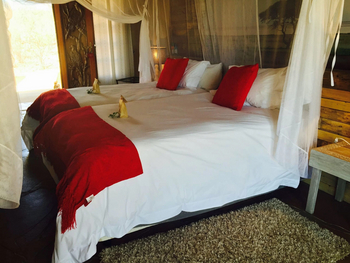Okutala Lodge: Luxury Room