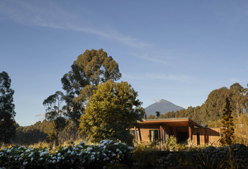 One and Only Gorilla's Nest: Gästesuite Exterior