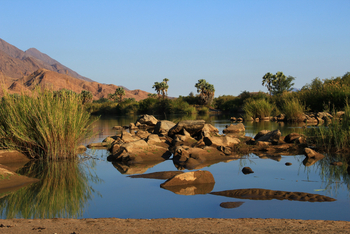 Sanctuary Okahirongo River Camp Sanctuary Okahirongo River Camp: No Title