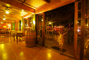 Bagatelle Kalahari Game Ranch: Springbock