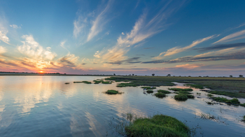 Chobe Game Lodge: Caprivi Floodplains