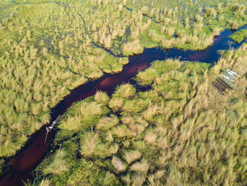 Duba Explorers Camp: Mokorohafen