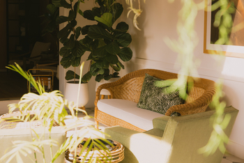 Fancy Fritz B&B: Sofa