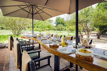 Forest Chem Chem: Küche