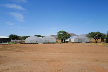 Gmundner Lodge: Gewächshäuser