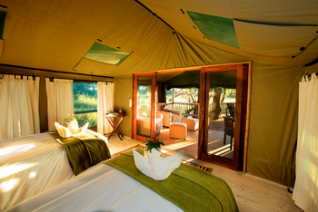 Gunn's Camp: Sonne im Zelt