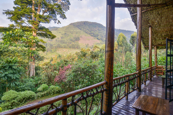 Mahogany Springs Safari Lodge: Balkon