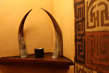 Mihingo Lodge: Watusi-Hörner