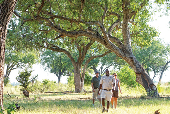 Moanachira Flood Plains: Wandersafari mit Guide