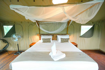 Mogogelo Camp Mogogelo Camp: Gästezelt - Innenansicht