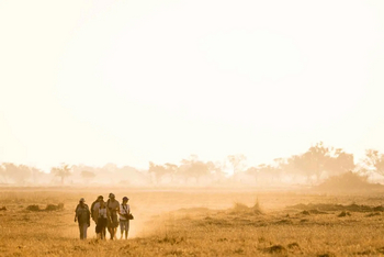 Mogogelo Camp Mogogelo Camp: Walking Safari