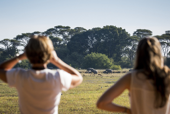 Ntemwa Busanga Bushcamp Ntemwa Busanga Bushcamp: Wildbeobachtung
