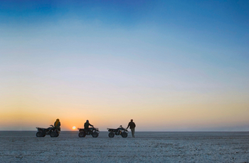 Planet Baobab: Aktivitäten