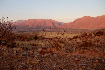 Sanctuary Okahirongo River Camp Sanctuary Okahirongo River Camp: No Title