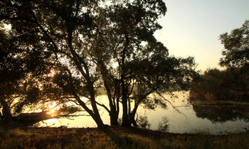 Svasara Jungle Lodge: Stilles Gewässer