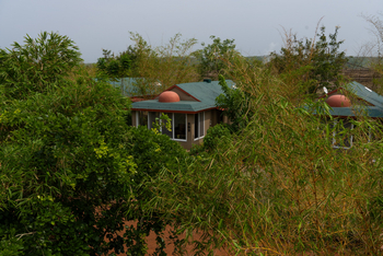 Tathastu Resort Tadoba: Chalets im Grünen