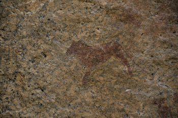 Ai Aiba Lodge Ai Aiba Lodge: Felsmalereien