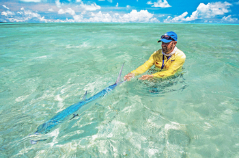 Cosmoledo Eco Camp: Flyfishing