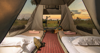 Beagle Expeditions: Blick aus einem Zelt