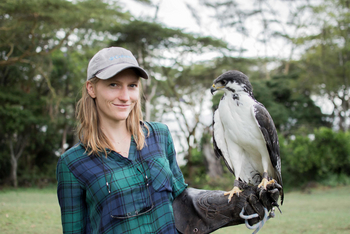 Loldia House: Greifvogelstation